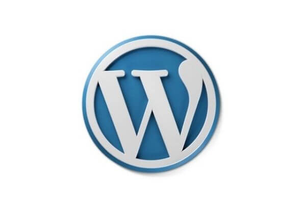 Profi web nebo eshop na Wordpressu