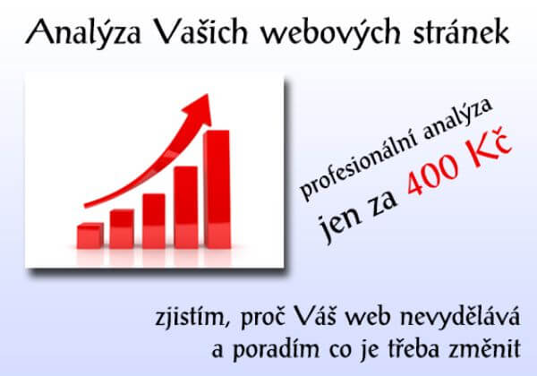Profesionální analýza webových stránek 
