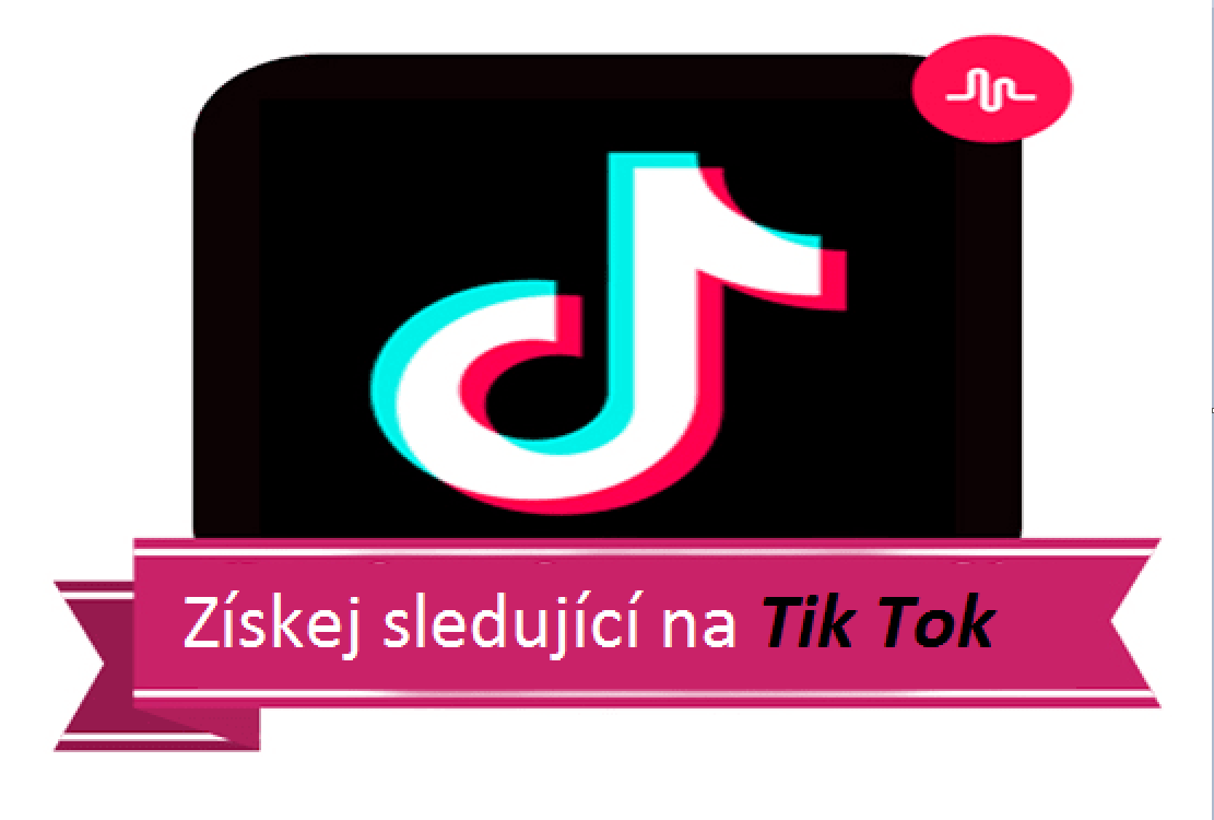 Tik Tok Likes / Liky [ bývalé musically ]