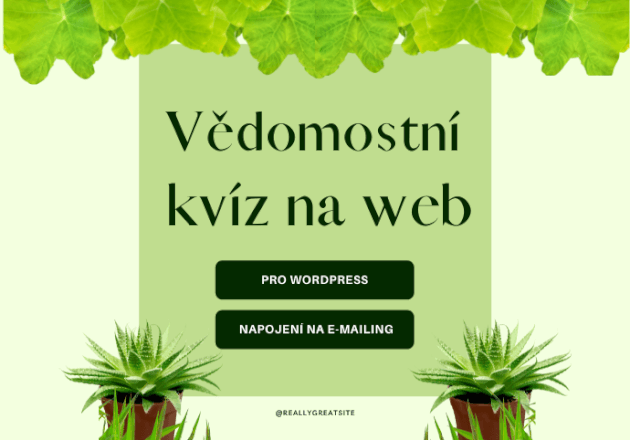 Vědomostní kvíz na web 