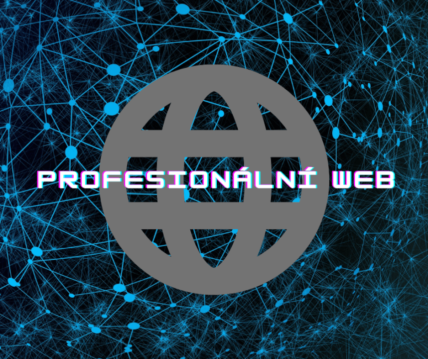 Vytvoření profesionálního webu 