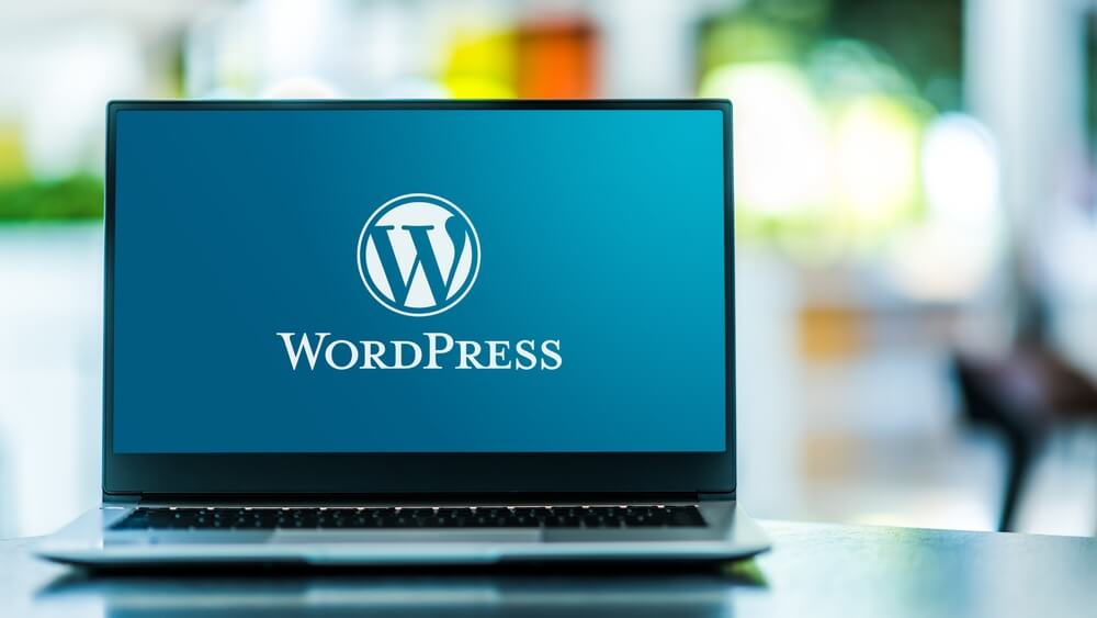 Profesionální WordPress pomoc, rychlé zásahy