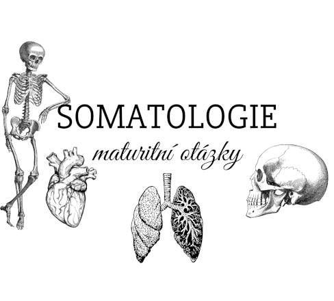 Maturitní otázky - SOMATOLOGIE